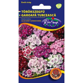   Törökszegfű Dianthus barbatus Pinocchio alacsony színkeverék