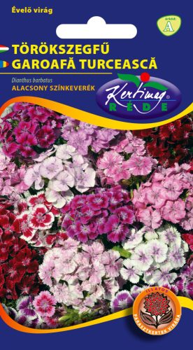 Törökszegfű Dianthus barbatus Pinocchio alacsony színkeverék