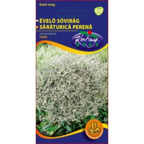 Évelő sóvirág Limonium tataricum