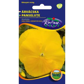 Árvácska Svájci óriás Arany fajtacsoport