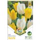 Tulipán virághagyma, gumó Duo Double Yellow + White