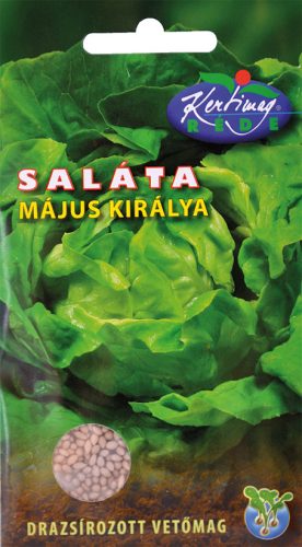 Fejessaláta Május királya 450 szem