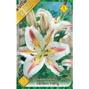 Liliom virághagyma, gumó, Garden Party