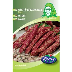Kifejtő és szárazbab Gipsy 50g