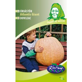 Óriás tök NM. Atlantic giant 6 szem