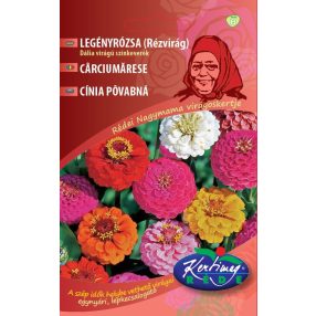 Legényrózsa Dália virágú színkeverék 2g