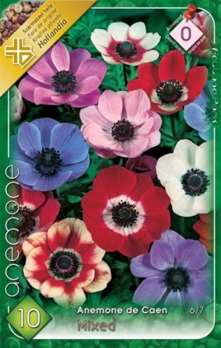 Koronás Szellőrózsa virághagyma, gumó, Anemone de Caen mix