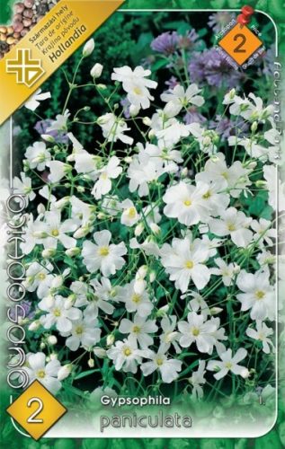 Fátyolvirág virághagyma, gumó, Gypsophila paniculata
