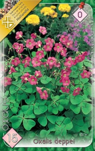 Madársóska virághagyma, gumó, Oxalis deppeii