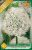 Allium virághagyma, gumó Mount Everest