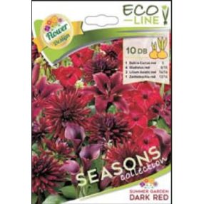   Virág Kollekció virághagyma, gumó, Summer garden Sötét piros