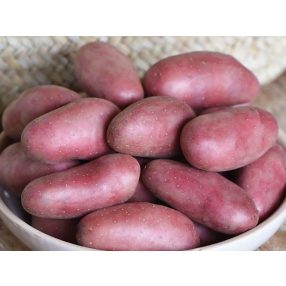 Vetőburgonya Cherie kifli 50db