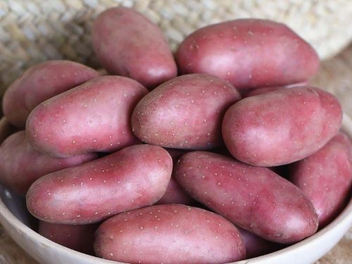 Vetőburgonya Cherie kifli 50db