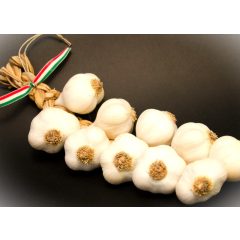   Dughagyma Fokhagyma Makói Öszi Kimérős, méret: 6 cm fölött 