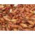 Dughagyma Makói CR csomagolt 250g