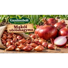 Dughagyma Makói vörös Őszi 22 mm Kimérős /kg