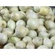 Dughagyma Fehér Snowball 250g