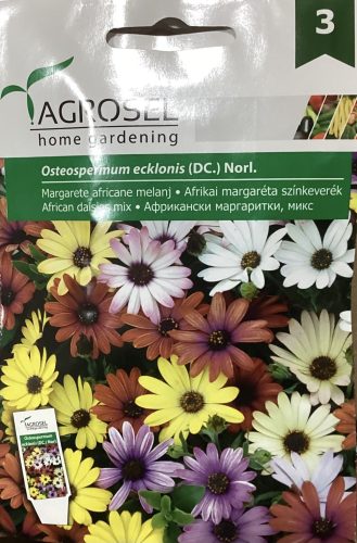 Afrikai Margaréta színkeverék