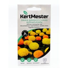 Óriás bársonyvirág színkeverék