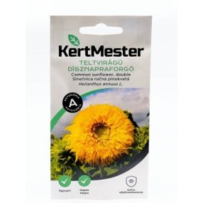 Teltvirágú dísznapraforgó