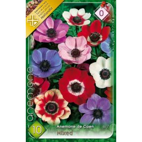 Egyéb őszi virághagyma