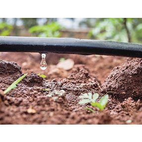 Csepegtető rendszer, Öntözés