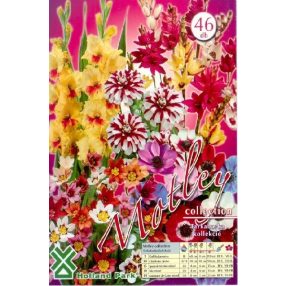 Tavaszi virágkollekció