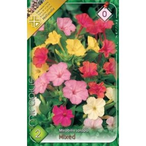 Egyéb tavaszi virághagyma