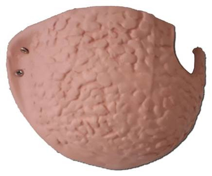 Fecske műfészek (molnárfecske)